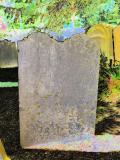 image of grave number 719023